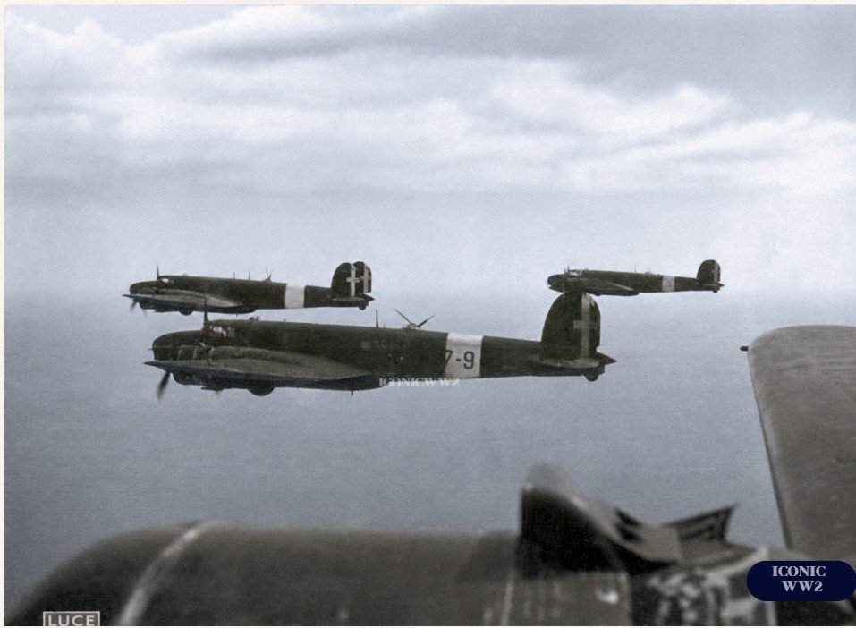 Fiat BR.20 Cicogna